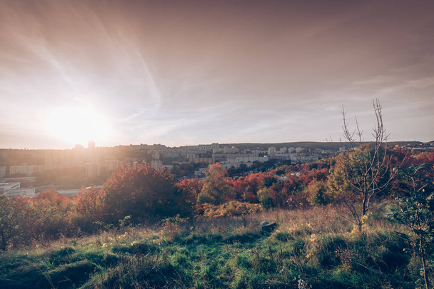 Etrafı çalılarla ve ağaçlarla çevrili düzlüklerin üzerinde sonbahar günbatımının güzel renkleri - Fotoğraf, Görsel
