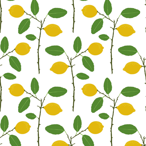 Decorative background with citrus plant parts, seamless pattern. - Vettoriali, immagini