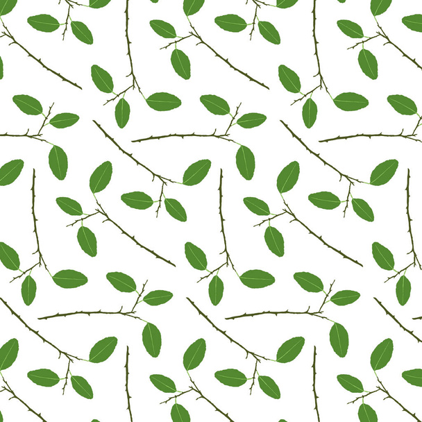Decorative background with citrus plant parts, seamless pattern. - Vector, imagen