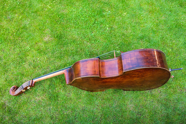 Kontrabas na pozadí zelené trávy. Hudební nástroj se skládá ze soundboardu se dvěma otvory, krku s bezpáteřní hmatník a headstock v charakteristickém tvaru hlemýždě. - Fotografie, Obrázek