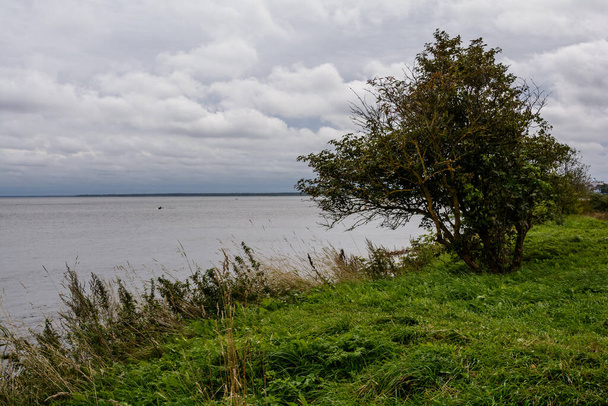 The source of the Neva River. gray heavy clouds. Severe Lake Ladoga. - Photo, Image