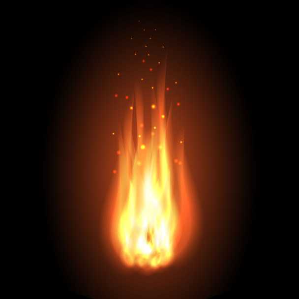 a tűz. reális lángok - Vektor, kép