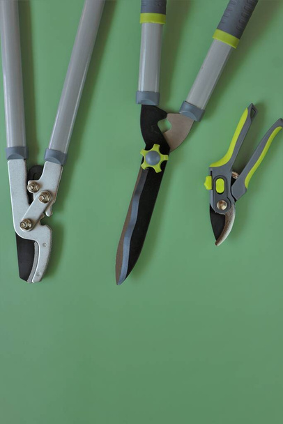 Gardening Tools.Garden shears, secateurs on a green background. Garden Plants Pruning Tool - Photo, Image