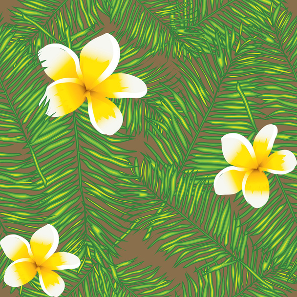 Plumeria naadloze patroon - Vector, afbeelding