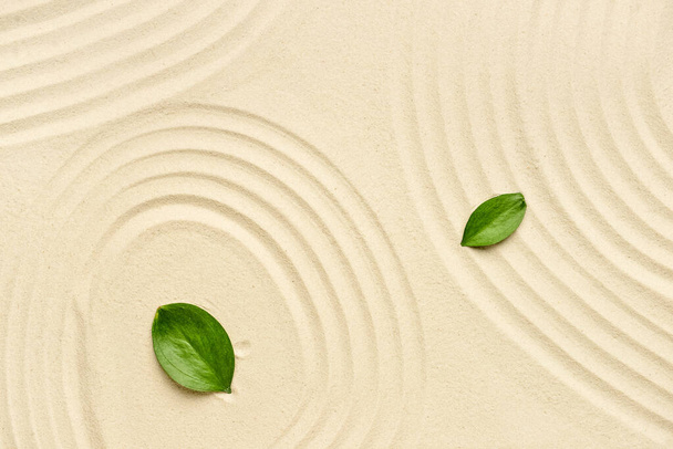 Зелене листя на легкому піску. концепція Zen
 - Фото, зображення
