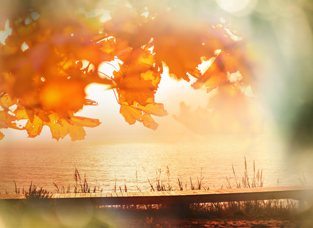 Herbstszene - Foto, Bild
