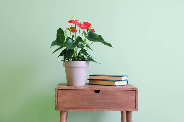 Puinen pöytä Anthurium kukka ja pino kirjoja värillinen tausta - Valokuva, kuva