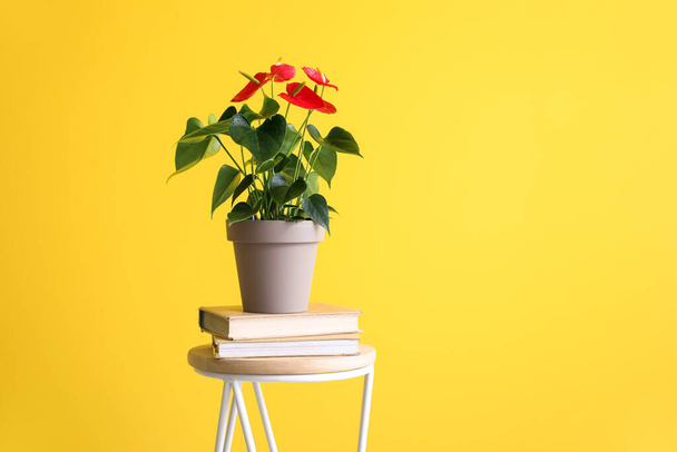 Güzel Anthurium çiçekli modern masa ve sarı arka planda bir yığın kitap. - Fotoğraf, Görsel