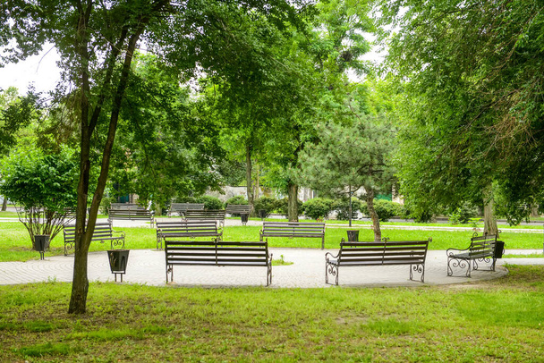 Alley with benches in beautiful city park - Photo, Image