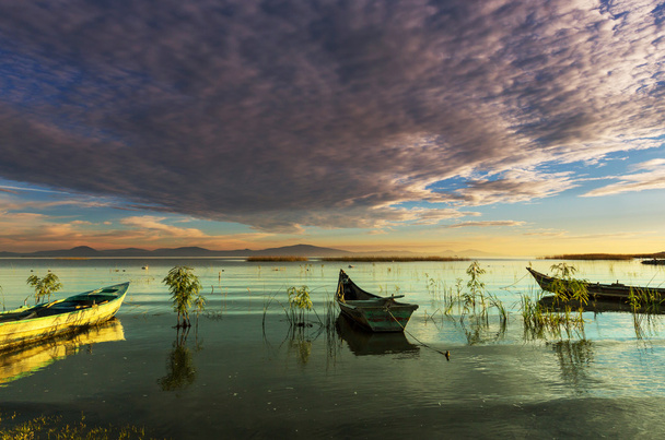 Boats in Mexico - Фото, зображення