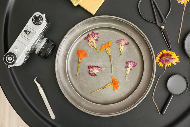 Bandeja con flores prensadas secas, cámara fotográfica, tijeras y pinzas en la mesa - Foto, imagen