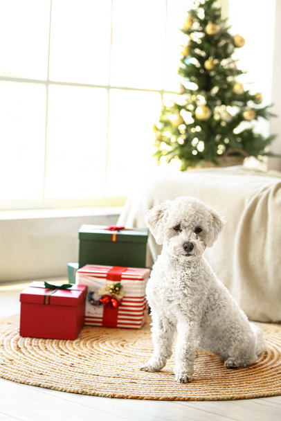 Χαριτωμένο σκυλί με δώρα Χριστουγέννων στην κρεβατοκάμαρα - Φωτογραφία, εικόνα
