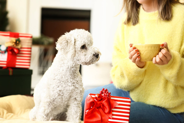 Kobieta z uroczym psem i prezentem świątecznym picie gorącej czekolady w domu - Zdjęcie, obraz
