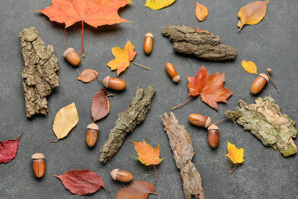 Őszi kompozíció fa kéreg, levelek és makkok sötét háttér, közelkép - Fotó, kép