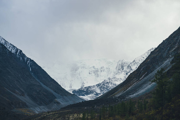 Sfeervol landschap met grote sneeuwbergen onder bewolkte hemel. Dramatisch landschap met bomen op heuvel tussen donkere rotsen met uitzicht op hoge besneeuwde bergwand met gletsjer in vallei bij bewolkt weer. - Foto, afbeelding