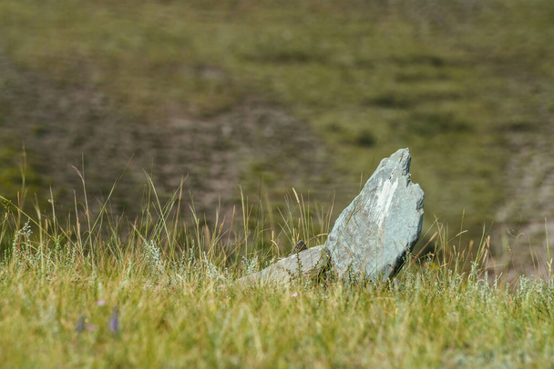 La piedra blanca y afilada sobresale del suelo al borde de un acantilado herboso sobre un fondo verde bokeh. Escénica naturaleza minimalista fondo con piedra afilada en la hierba en la colina en desenfoque. Fondo de la naturaleza borrosa. - Foto, Imagen