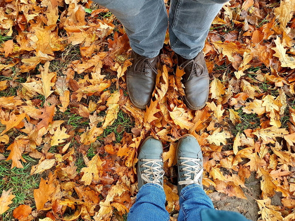 A top view of legs in boots on the autumn leaves - Foto, Imagen