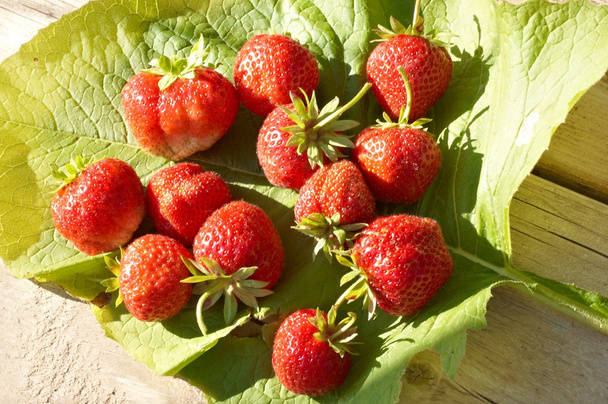 Strawberry - Photo, image