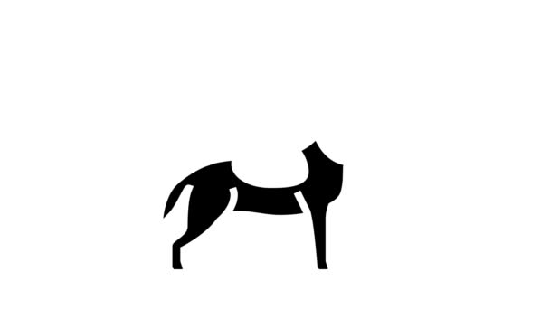 wylanie animacji ikony glifa psa - Materiał filmowy, wideo