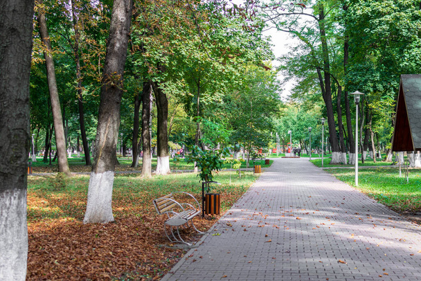 公園内の秋,ローマ公園,ネームト,ルーマニア - 写真・画像