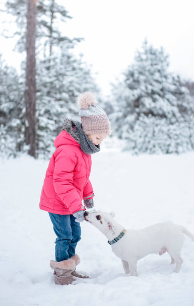 Menina em uma jaqueta brilhante joga na floresta nevada de inverno com seu cão jack russell terrier - Foto, Imagem