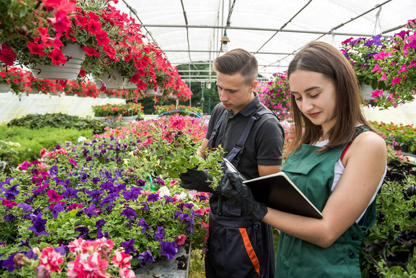 Young happy florists couple take care of flowers at a greenhouse. Family business - Photo, Image