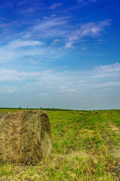 hooiberg in veld - Foto, afbeelding