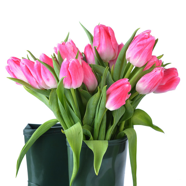 Pink tulips - Foto, immagini