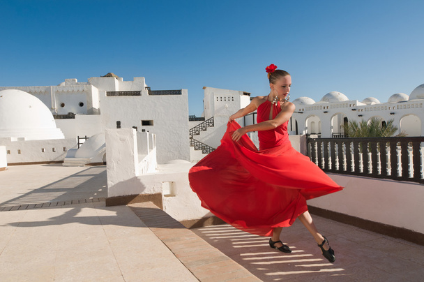 Flamenco dancer - Fotografie, Obrázek