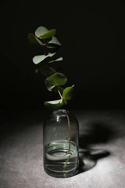 Glass vase with eucalyptus branch in darkness - Foto, Imagem