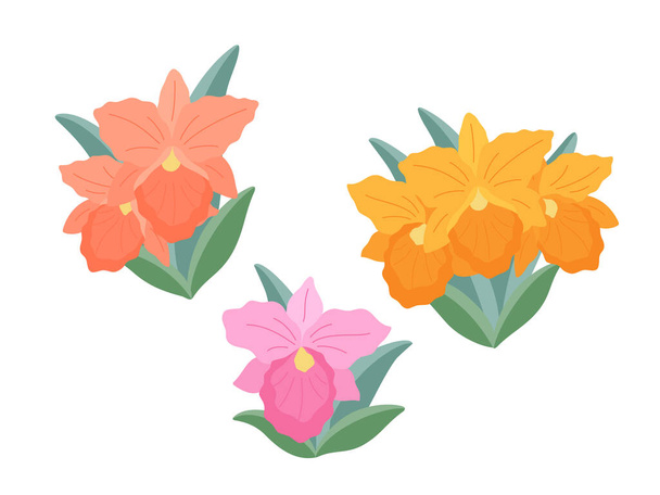 Drei Zweige Orchideenblüten (Rhynchosophrocattleya) auf weißem Hintergrund, flache Abbildung. Eine Reihe einfacher kleiner zarter Sträuße für Ihr Design. Flache Cartoon-Vektorillustration. - Vektor, Bild