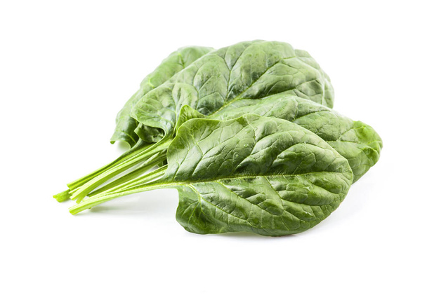 Spinach leaves on white backgrounds. - Photo, Image