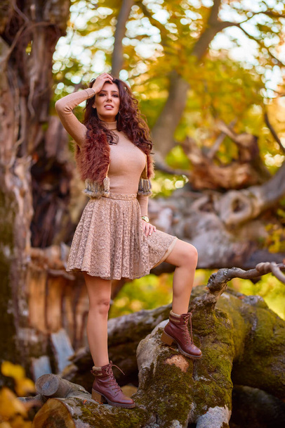 a beautiful woman posing on a log of an old tree in autumn, the colors of autumn - 写真・画像