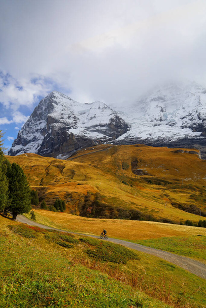 Вид на ландшафтну снігову альпійську гору в природі та навколишньому середовищі на лижах з поїзда вниз пагорб Джунгфрау
 - Фото, зображення