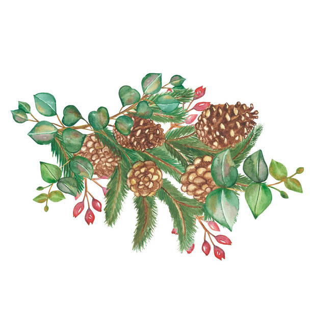 Watercolor hand painted nature winter holiday composition with green fir branches, brown cones, eucalyptus leaves and red berry bouquet on the white background for new year card design - Foto, imagen