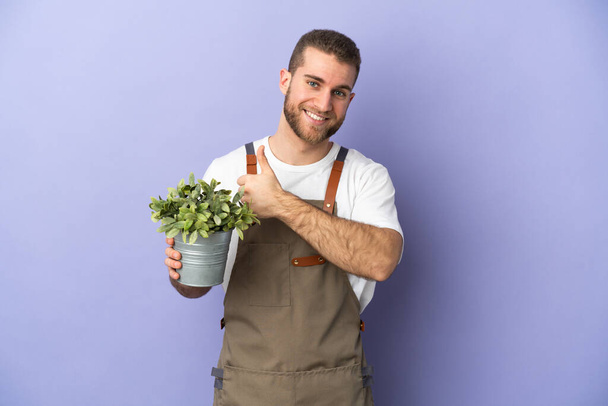 Gardener caucasian man holding a plant isolated on yellow background giving a thumbs up gesture - Photo, Image