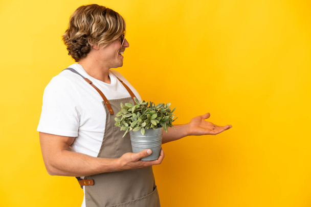 Блондин-садовник, держащий растение на желтом фоне с удивленным выражением лица, глядя в сторону - Фото, изображение