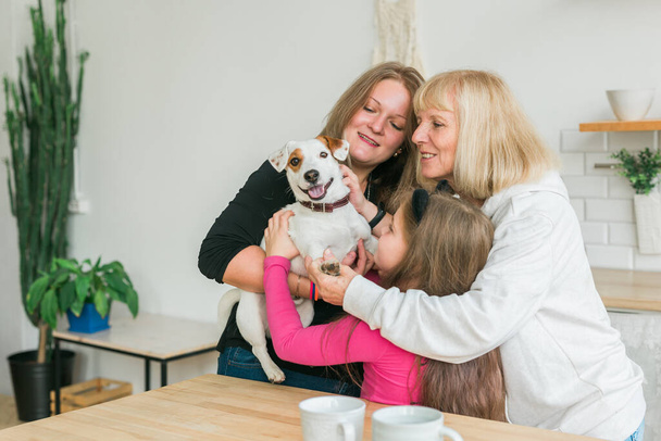 Happy granddaughter and grandmother and daughter having fun with jack russell terrier dog. Pet, family and three generation concept. - Photo, Image