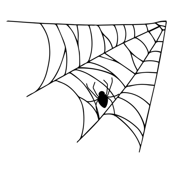 Паутина изолирована на белом фоне. Жуткие паутинки с пауками. Контурная векторная иллюстрация. Элемент дизайна. - Вектор,изображение