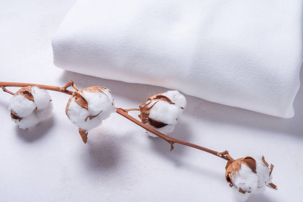 White cotton fabric with cotton flower branch on wooden backgrou - Фото, изображение