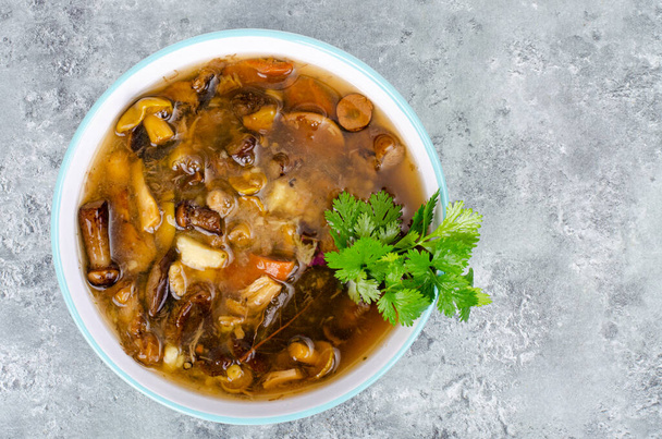 Deliciosa sopa caliente con setas silvestres. Estudio foto - Foto, Imagen