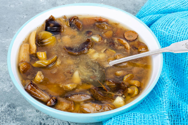 Lahodná horká polévka s divokými houbami. Studio Photo - Fotografie, Obrázek