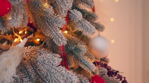 Girl decorates the Christmas tree close up. Hand hangs Christmas decorations on the Christmas tree. - Footage, Video