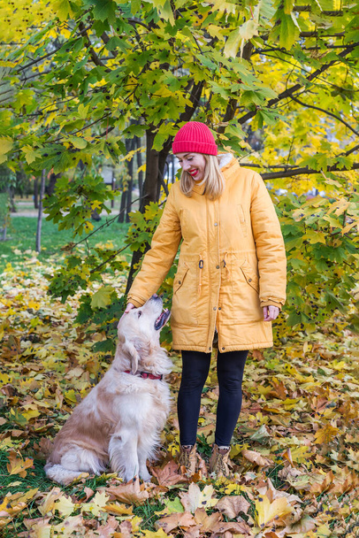 Sarı sonbahar yaprakları arasında av köpeği olan sarı ceketli genç bir kadın. - Fotoğraf, Görsel