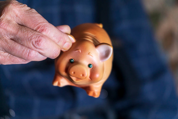 A man holds a toy pig in his hands. Piglet is a symbol of business and financial character - Fotografie, Obrázek