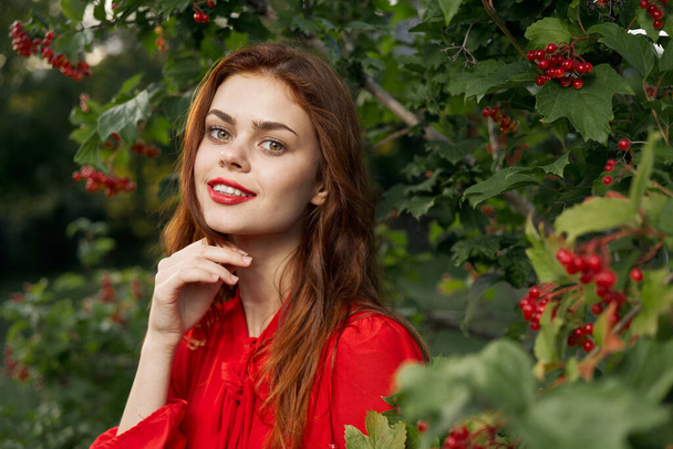 pretty woman in red dress glamor posing nature - Foto, Bild