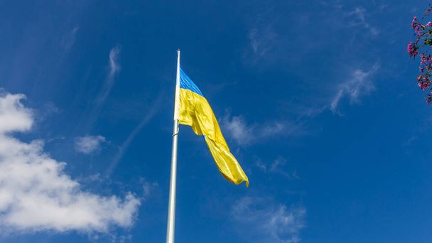 Bandera amarilla y azul de Ucrania sobre un fondo del cielo - Foto, imagen