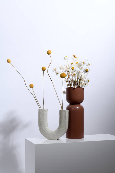 Vases with dry bouquets on white background - Valokuva, kuva