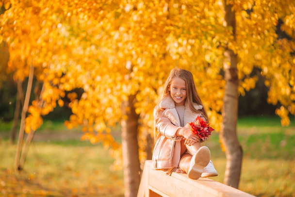 Portrait d'adorable petite fille avec bouquet de feuilles jaunes à l'automne - Photo, image