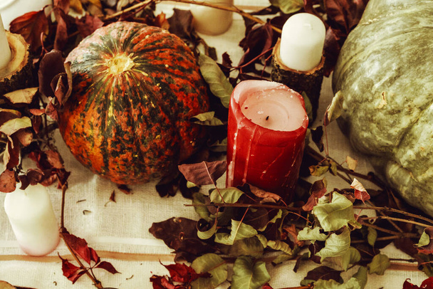 Beautiful autumn table decor with green pumpkin - Foto, Imagem